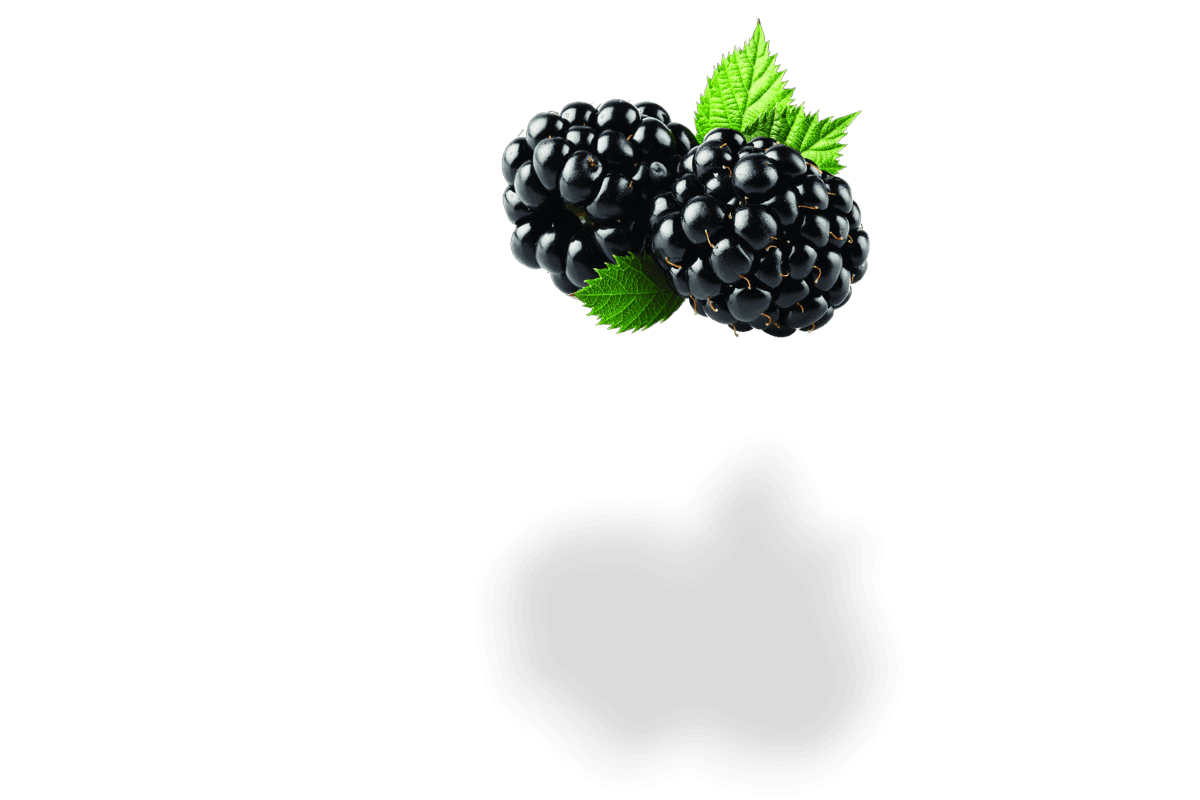 Blueberries